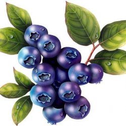 Blueberry Lavender Cranberry Crisp