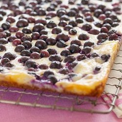 Coconut-blueberry Cheesecake Bars