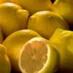Lemon Cream Sherbet