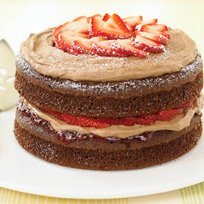 Double-chocolate Strawberry Shortcake