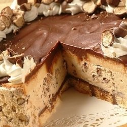 Frozen Chocolate-covered Cappuccino Crunch Cake