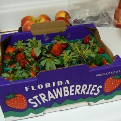 Freezing Strawberries