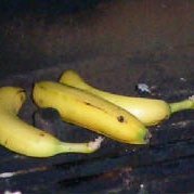 Grilled Bananas