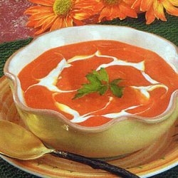 Chilled Squash And Carrot Soup  Diabetic Friendly