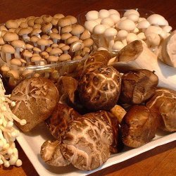 Brie and Wild Mushroom Fondue