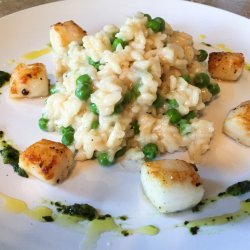 Champagne Risotto with Scallops