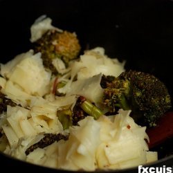 Sicilian  drowned  Broccoli