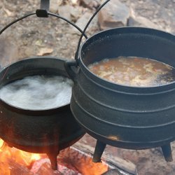 Survivorman Campfire Stew