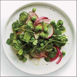 Pea Shoot Salad with Radishes and Pickled Onion