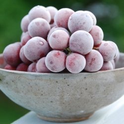 Bonnie's Frozen Grapes