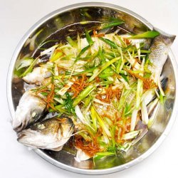 Chinese Sea Bass