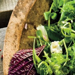 Leafy No-Lettuce Salad