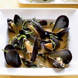 Coconut and Basil Steamed Mussels