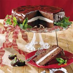 Chocolate-Mint Cake