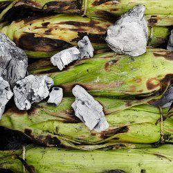 Ember-Roasted Corn on the Cob
