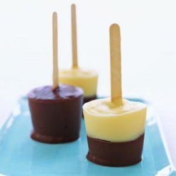 Vanilla-Chocolate Pudding Pops