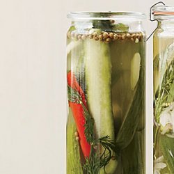 Spicy Dill Quick Pickles