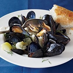 Mussels in Fennel Broth