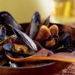 Mussels in Red Curry Broth