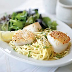 Seared Scallops with Fresh Linguine and Romano Cheese