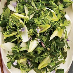Herb-and-Endive Salad with Creamy Lime Dressing