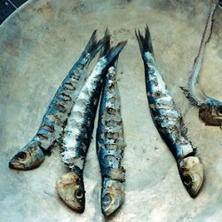 Grilled Fresh Sardines with Fennel and Preserved Lemon