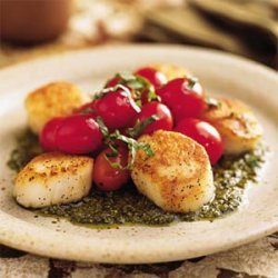Pan-Seared Scallops with Tomatoes and Pesto