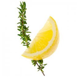 Lemon-Thyme Simple Syrup