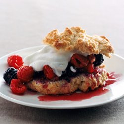 Two-Berry Shortcakes