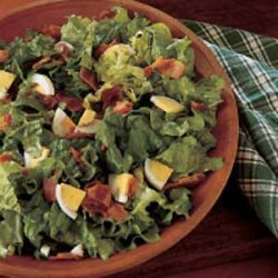 Classic Wilted Lettuce Salad
