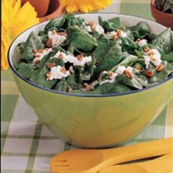 Cottage Cheese Spinach Salad