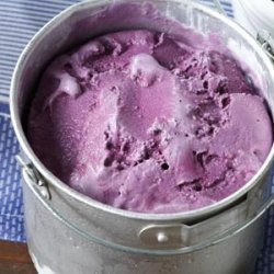 Blackberry Frozen Yogurt