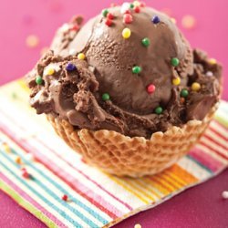 Chocolate Malted Ice Cream