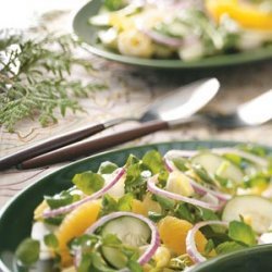 Endive Watercress Salad