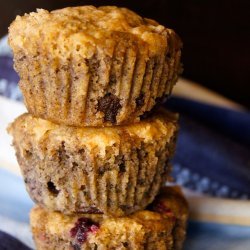 Gluten-Free Blueberry Corn Muffins