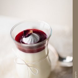 Bavarian Cream with Raspberry Coulis