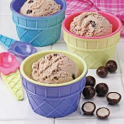 Chocolate Malted Ice Cream