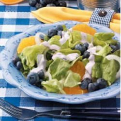 Blueberry-Orange Onion Salad
