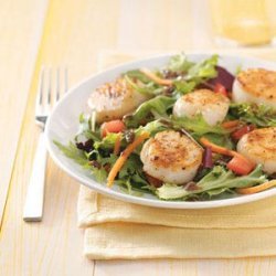 Special Scallops Salads