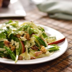 Shaved Fennel and Apple Salad