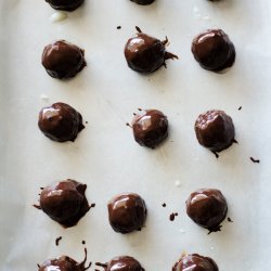Coconut Chocolate Bites