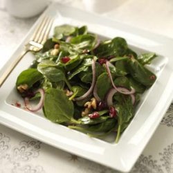 Cranberry-Chipotle Spinach Salad