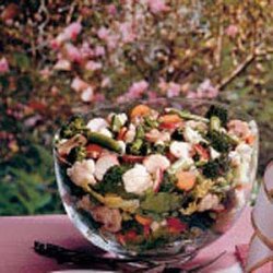 Garden Layered Salad