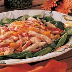 Warm Apricot Chicken Salad
