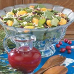 Salad with Cran-Raspberry Dressing