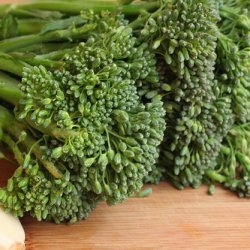 Sauteed Broccolini with Garlic