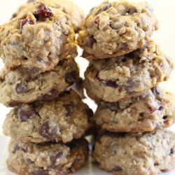 Chocolate-Chip Oatmeal Cookies with Dried Cherries
