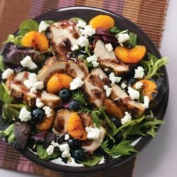 Grilled Chicken Salad with Blueberry Vinaigrette