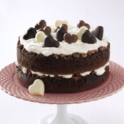 Chocolate-Praline Layer Cake