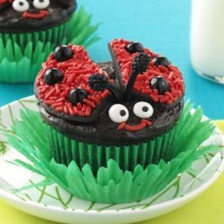 Lady Bug Chocolate Cupcakes